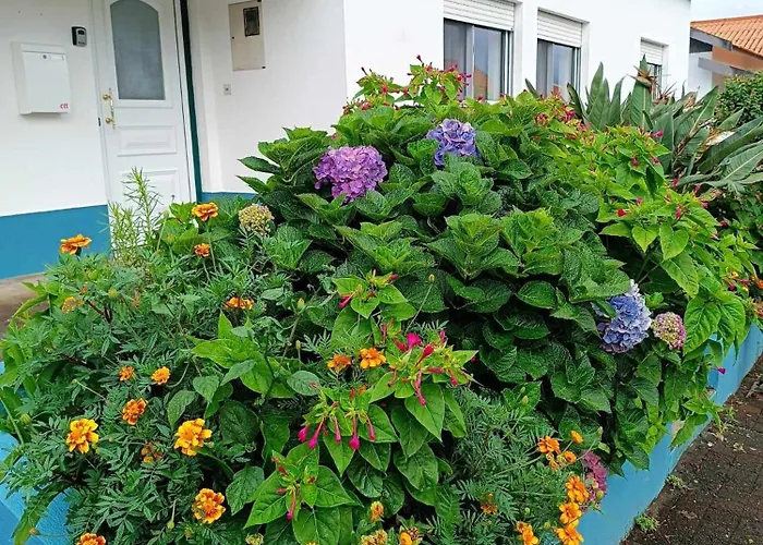 Da Matilde * Santa Cruz das Flores